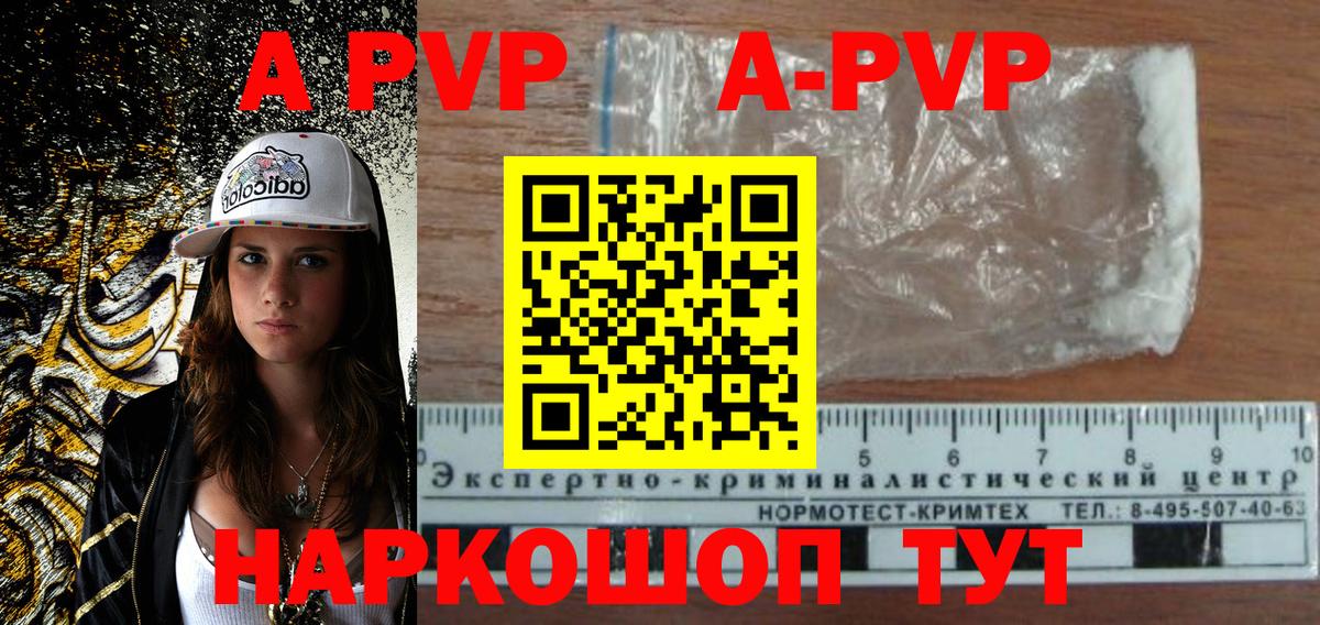 Альфа ПВП СК Новороссийск