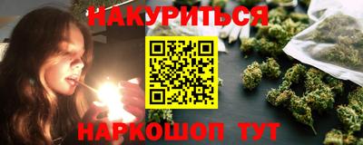 прущие крисы Гатчина