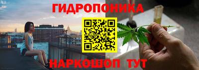 прущие крисы Гатчина