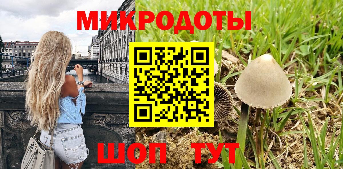 Галлюциногенные грибы ЛСД Новороссийск